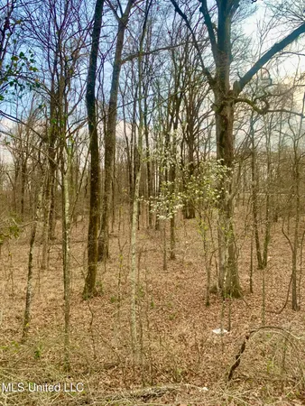 $55,000 | 0 Warwick Road, Clinton, MS 39056