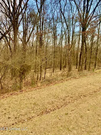 $55,000 | 0 Warwick Road, Clinton, MS 39056