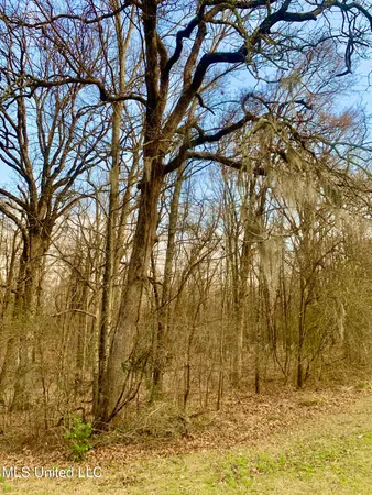 $55,000 | 0 Warwick Road, Clinton, MS 39056