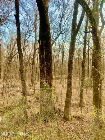 $55,000 | 0 Warwick Road, Clinton, MS 39056