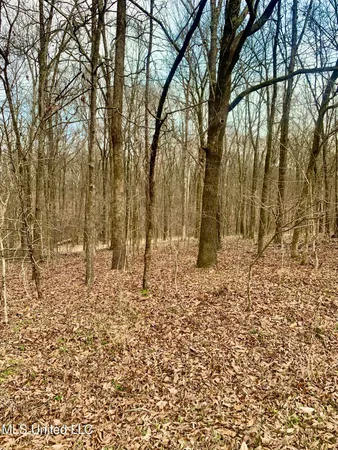 $55,000 | 0 Warwick Road, Clinton, MS 39056