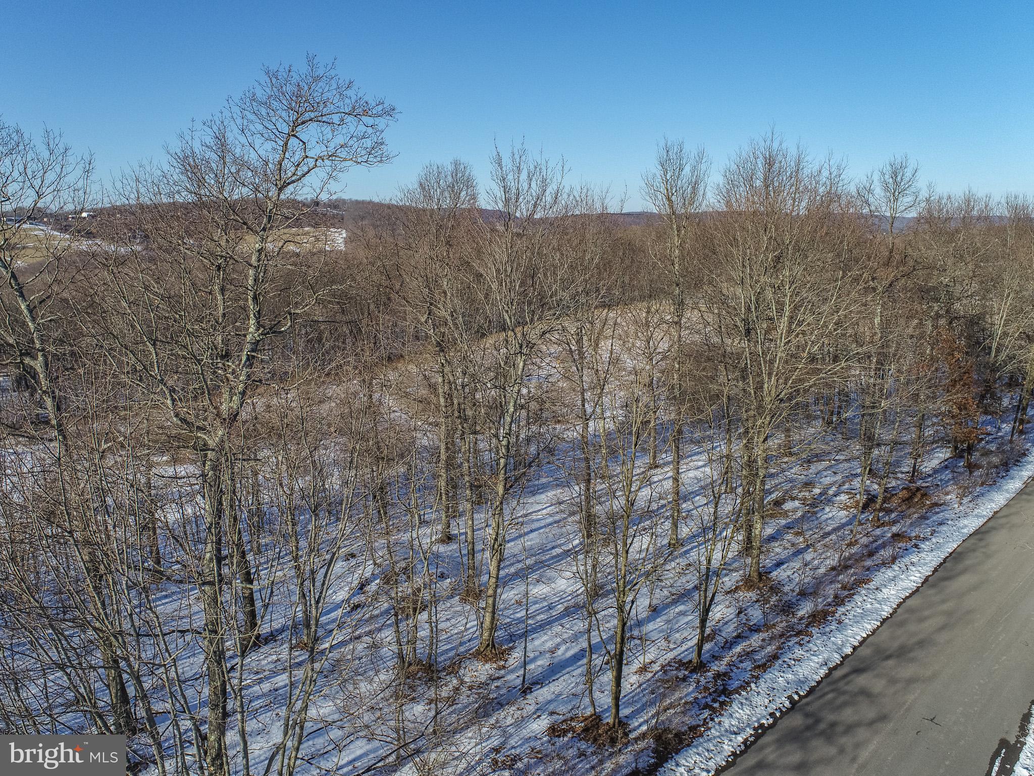 Lot 2 Edens Ridge Road Oakland, MD 21550 - Photo 15 of 20