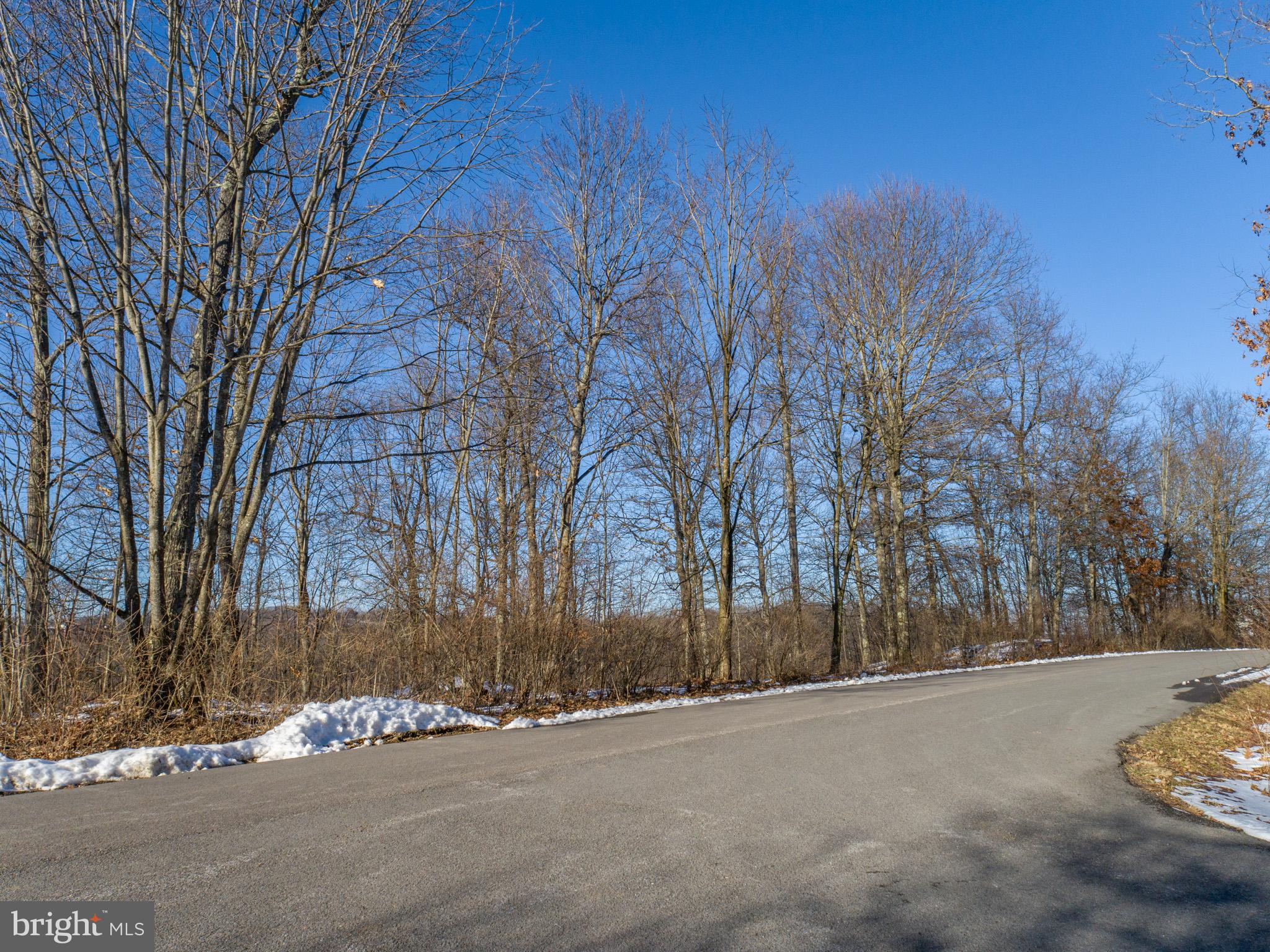 Lot 2 Edens Ridge Road Oakland, MD 21550 - Photo 20 of 20