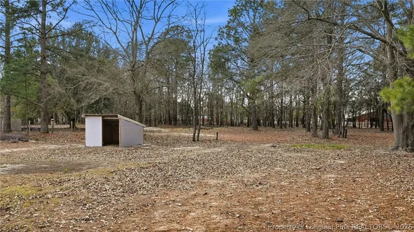 a view of a tree with a yard