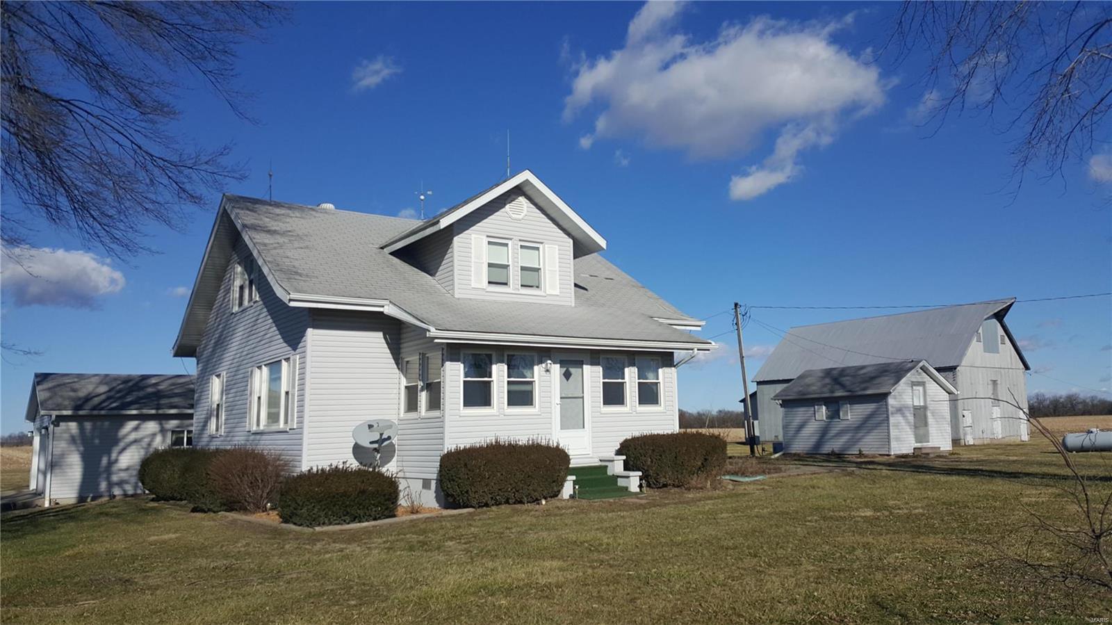 13225 Mill Road New Douglas, IL 62074 - Photo 1 of 37