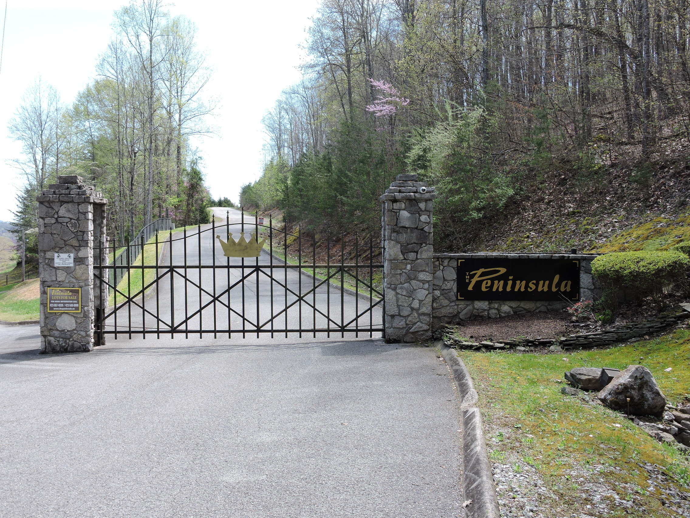 Crown Pointe Road La Follette, TN 37766 - Photo 2 of 11 Private Gate