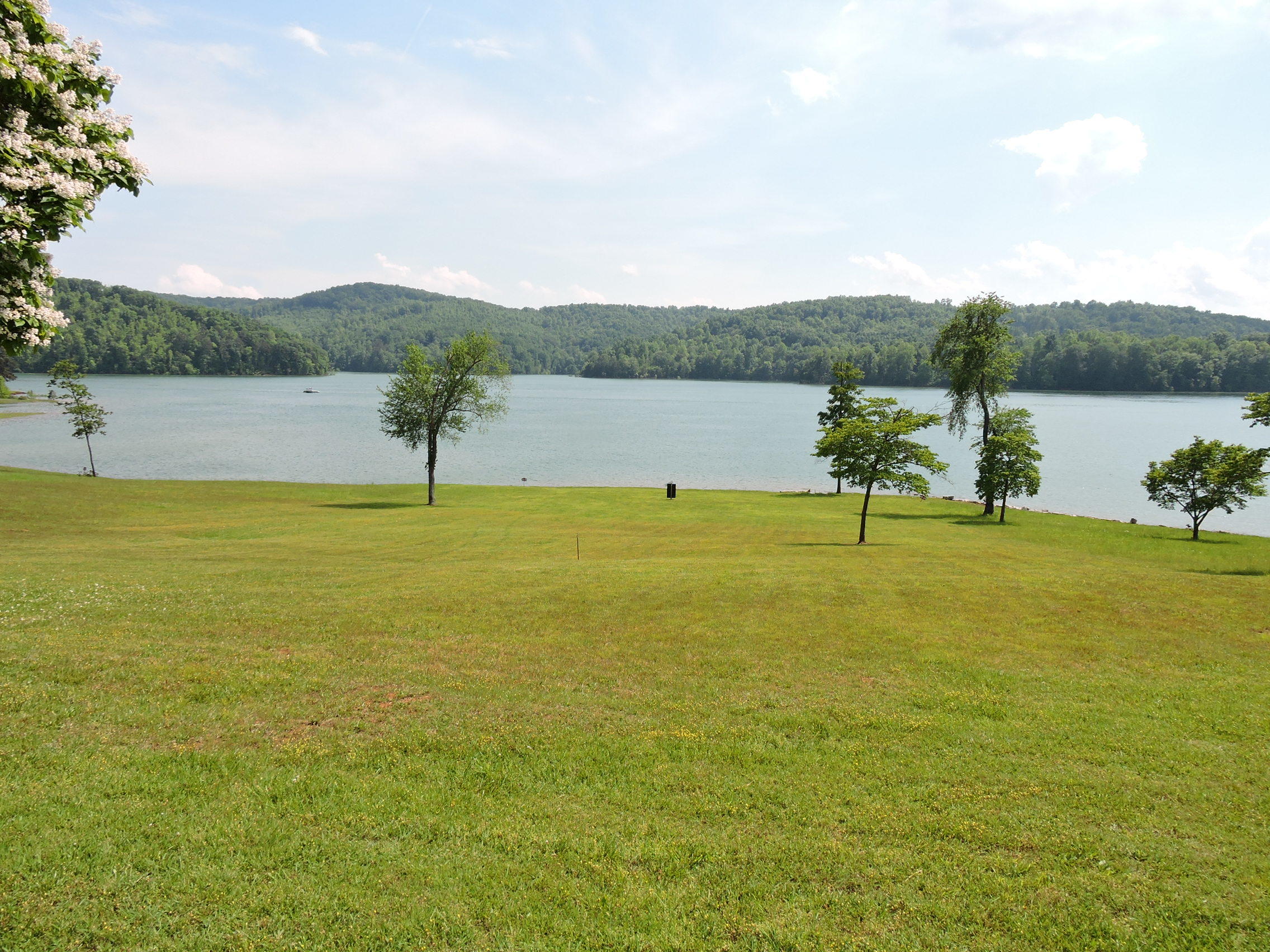 Crown Pointe Road La Follette, TN 37766 - Photo 5 of 11 Looking down lot