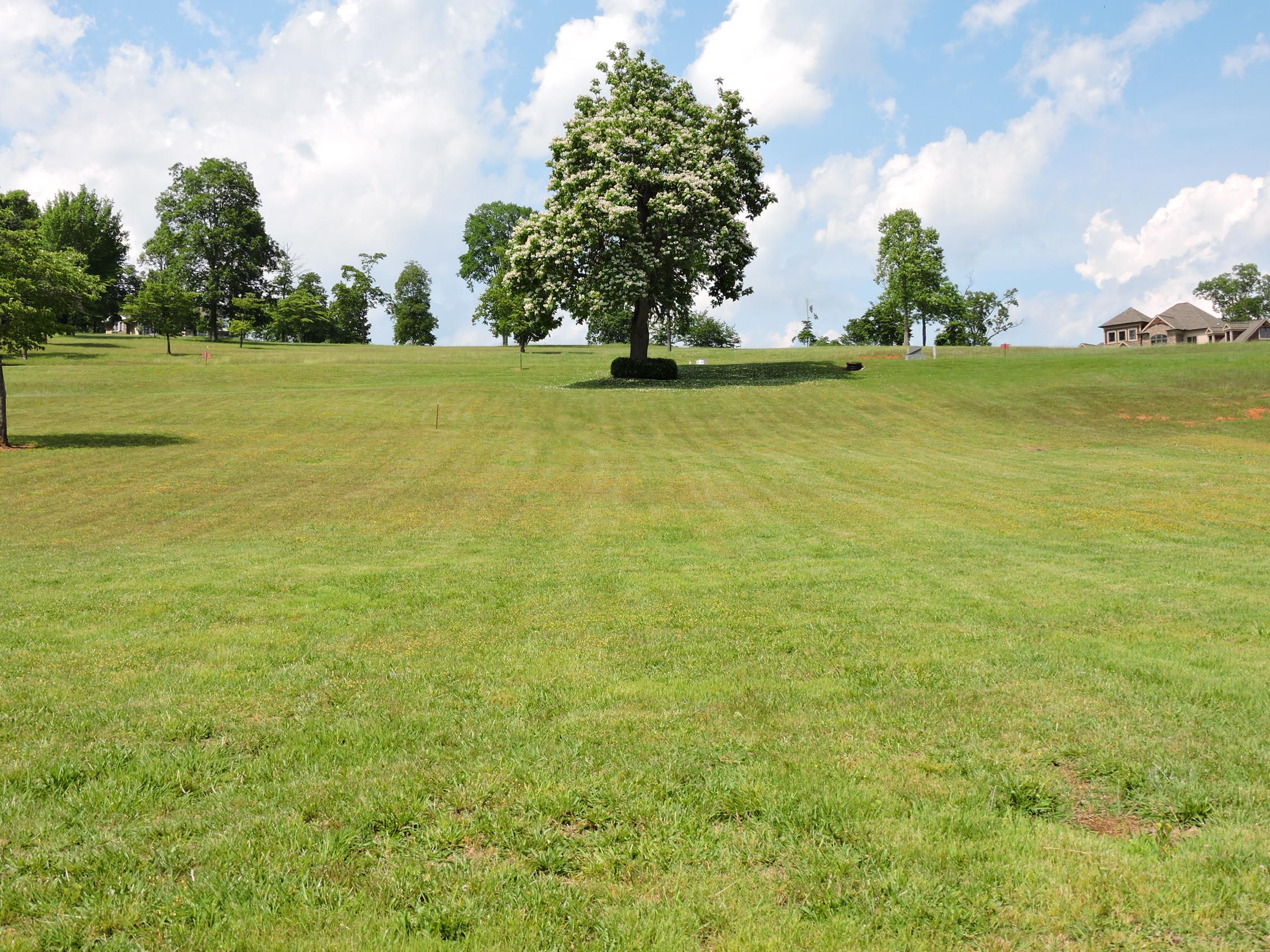 Crown Pointe Road La Follette, TN 37766 - Photo 6 of 11 Looking up lot