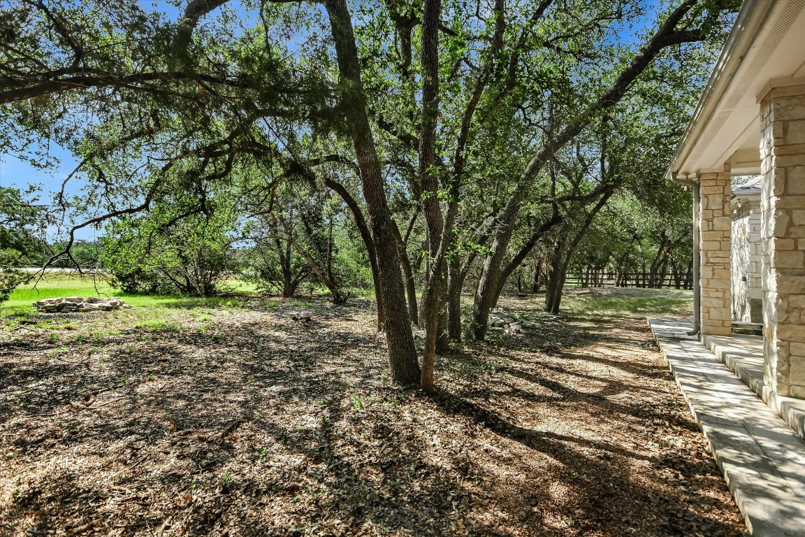 112 Twin Saddles Dripping Springs, TX 78620 - Photo 25 of 29 a view of a yard with plants and trees