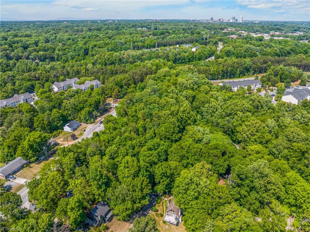 1916 Chateau Ridge Drive Winston-Salem, NC 27103 - Photo 31 of 32