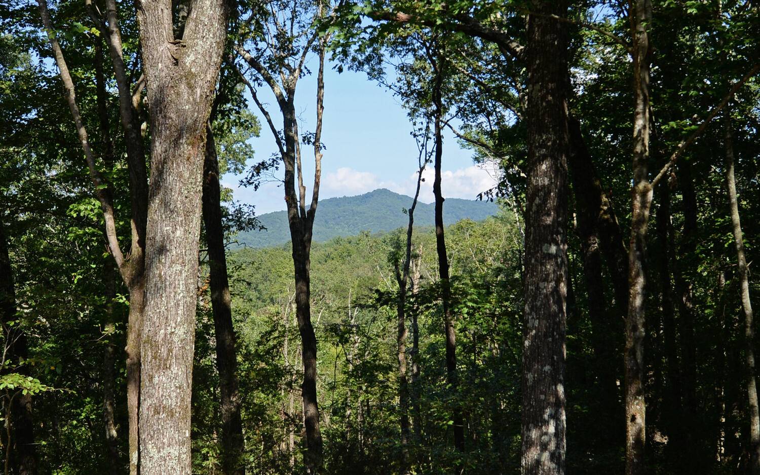 1281 Flagpole Road Ellijay, GA 30540 - Photo 53 of 73 Additional View