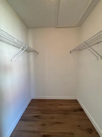 a view of an empty walk in closet