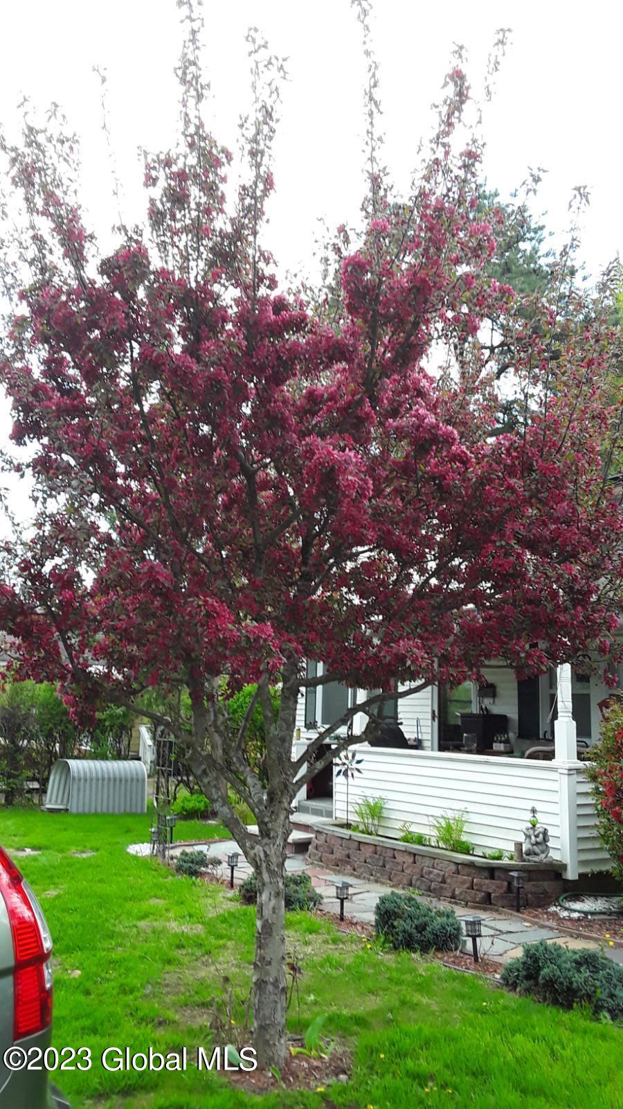 238 Aviation Road Queensbury, NY 12804 - Photo 30 of 31 aviation tree