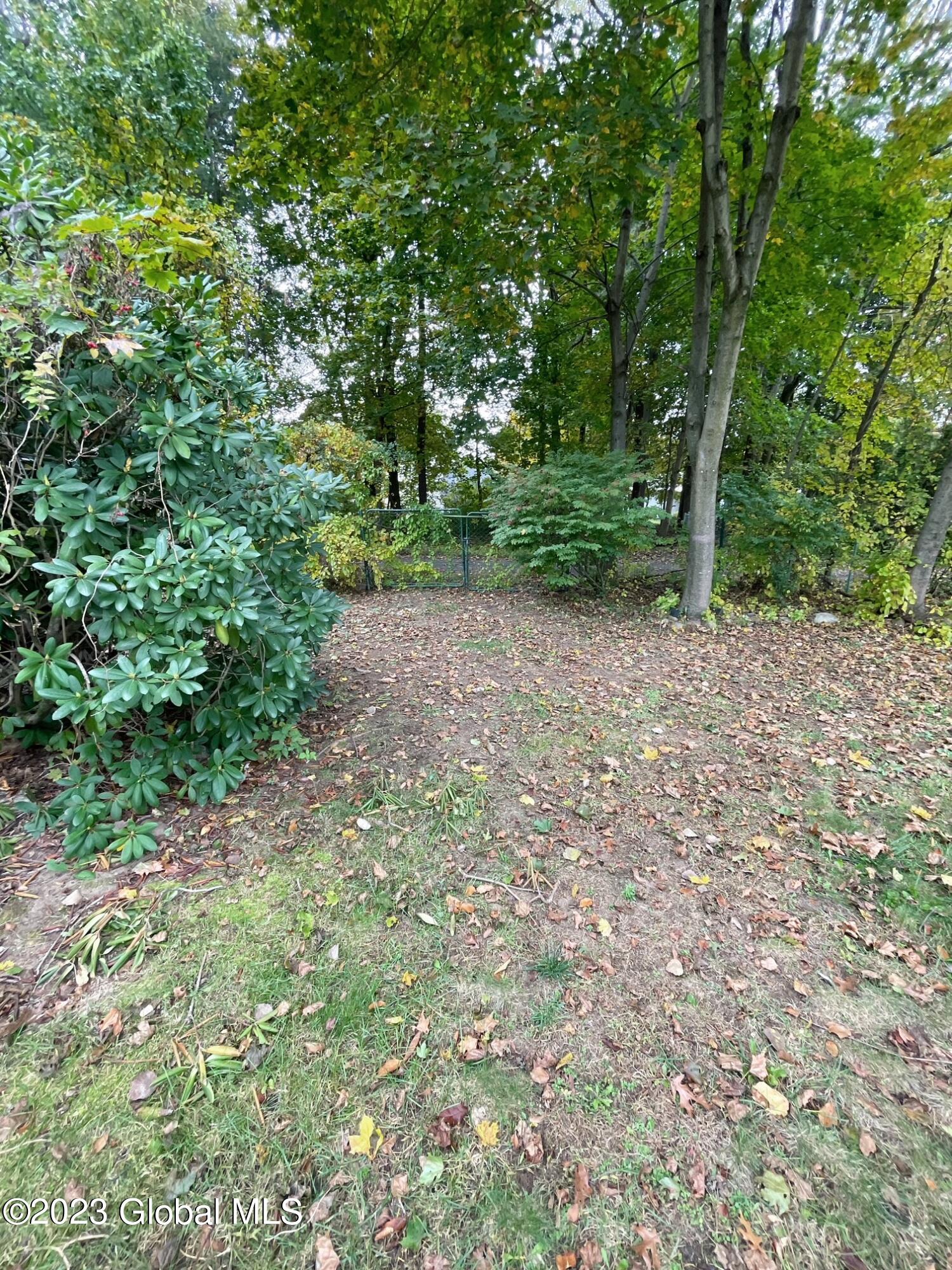 238 Aviation Road Queensbury, NY 12804 - Photo 31 of 31 yard