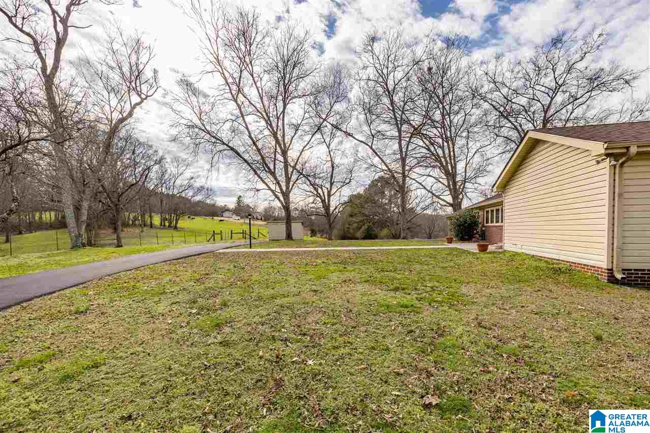 790 Valley Road Oneonta, AL 35121 - Photo 5 of 20