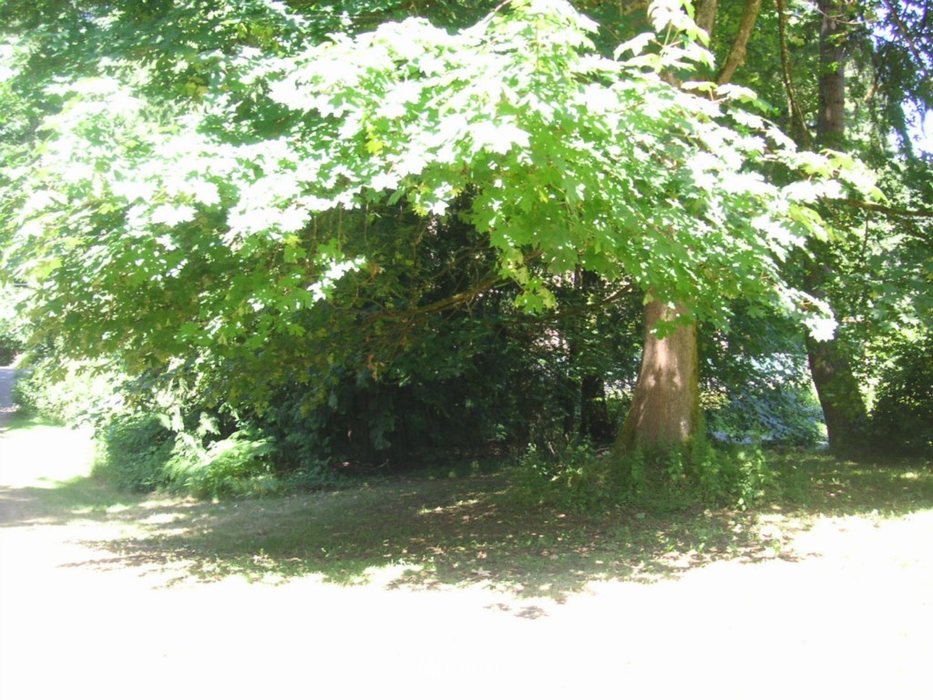 14629 East Lake Goodwin Road Stanwood, WA 98292 - Photo 16 of 20 Gallery Image 16