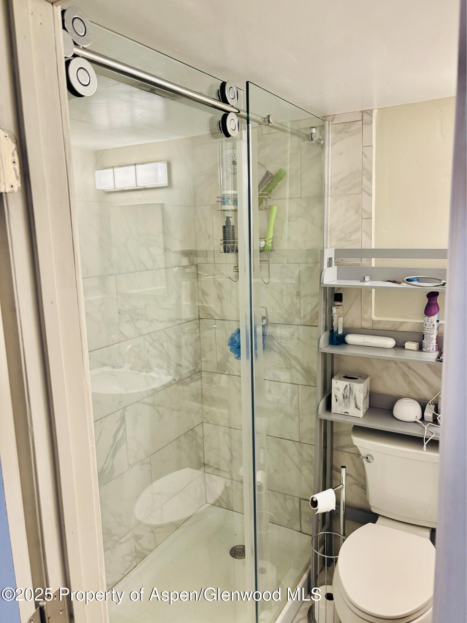 107 Aspen Mountain Road, Unit 4 Aspen, CO 81611 - Photo 7 of 8 a bathroom with a toilet and a shower