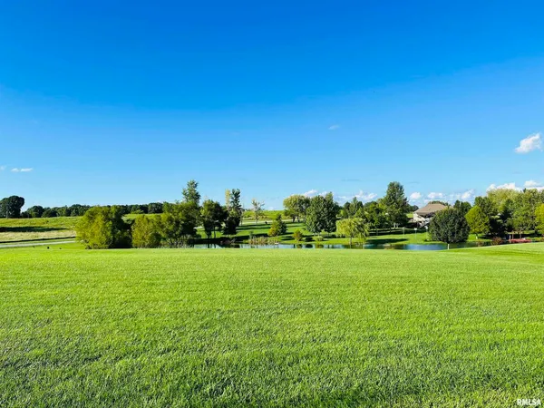 a view of a grassy field with an trees
