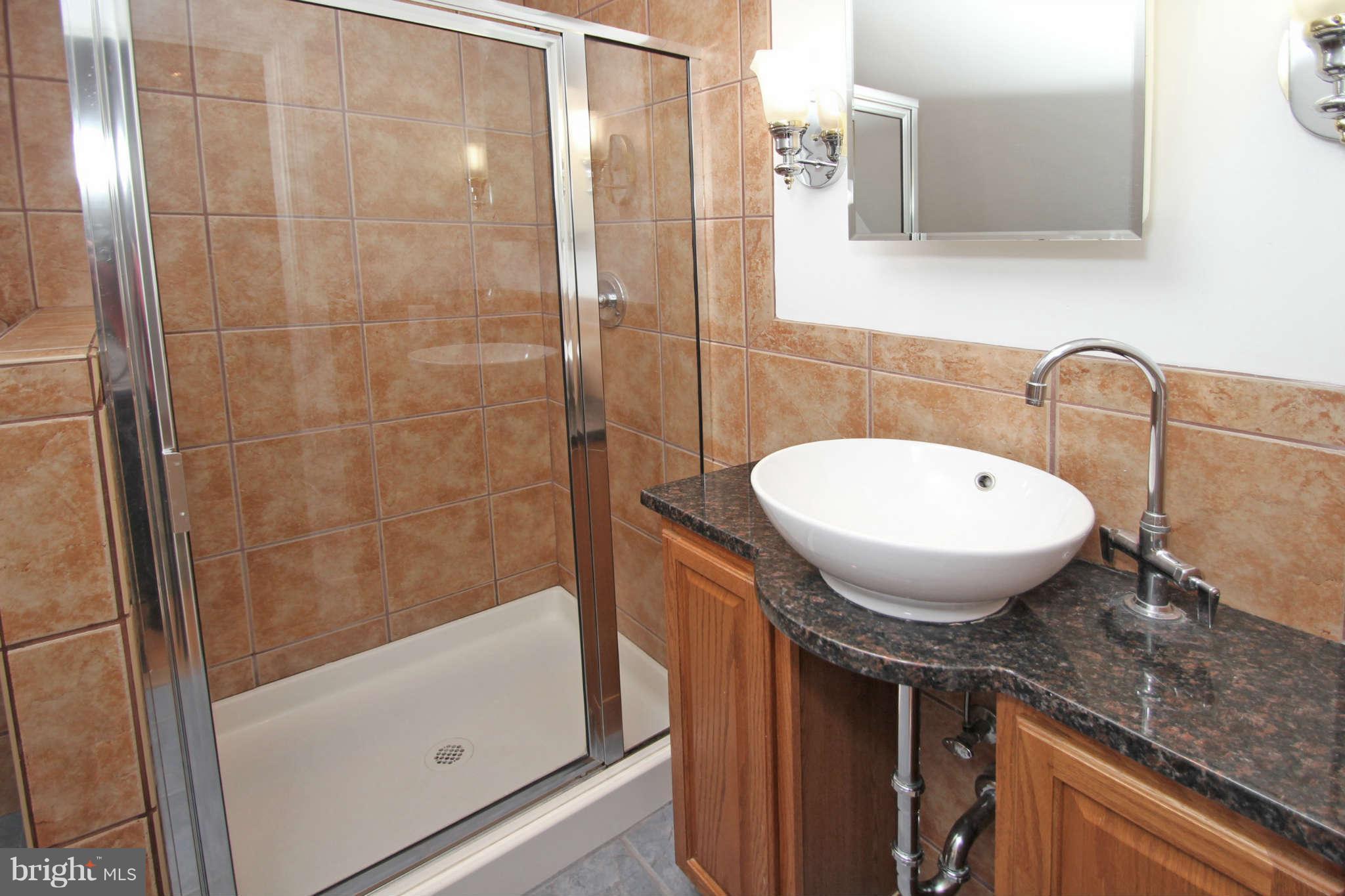 124 Hilltop Road Silver Spring, MD 20910 - Photo 20 of 29 Private master bath - sumptuous!