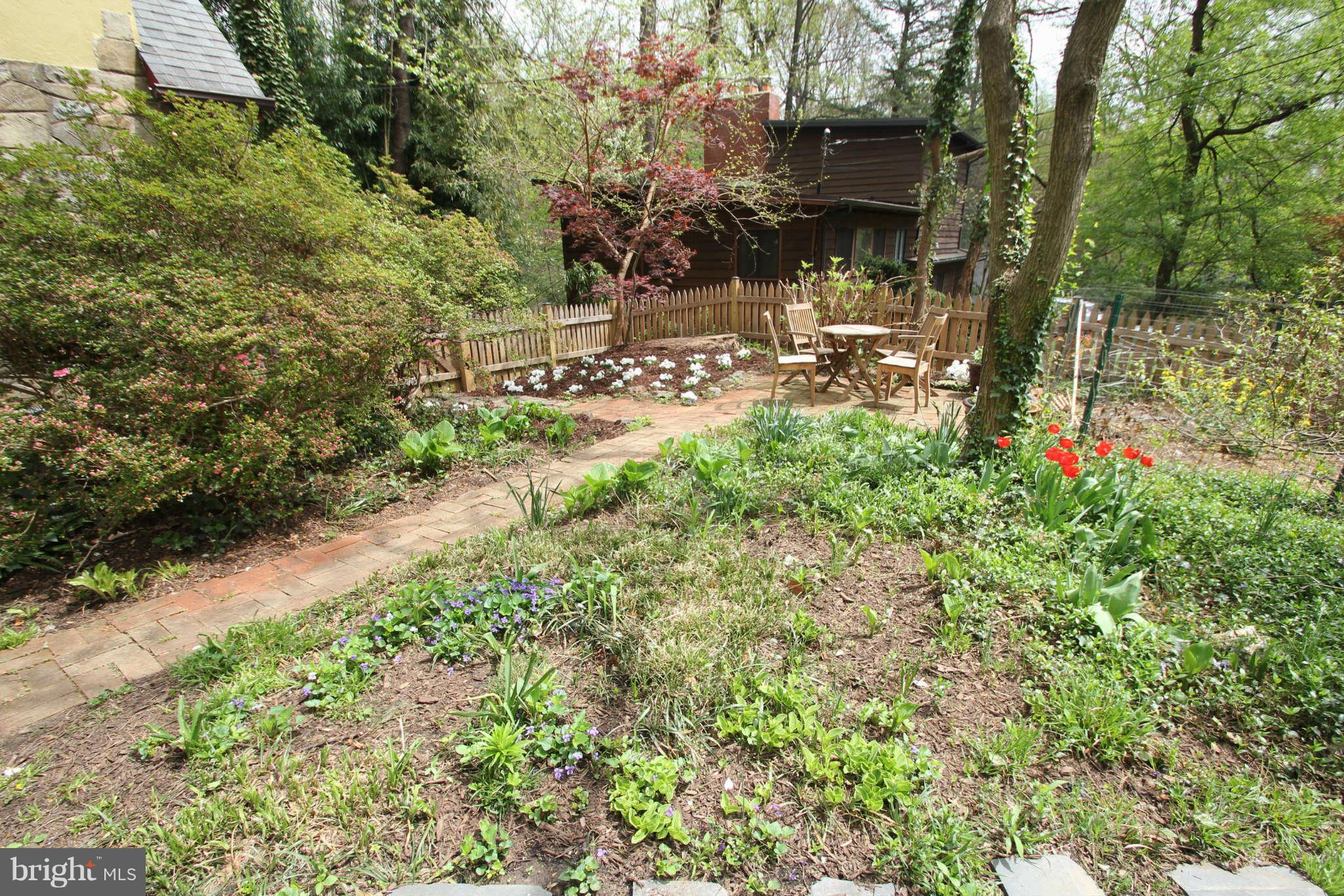 124 Hilltop Road Silver Spring, MD 20910 - Photo 26 of 29 The front garden has ....