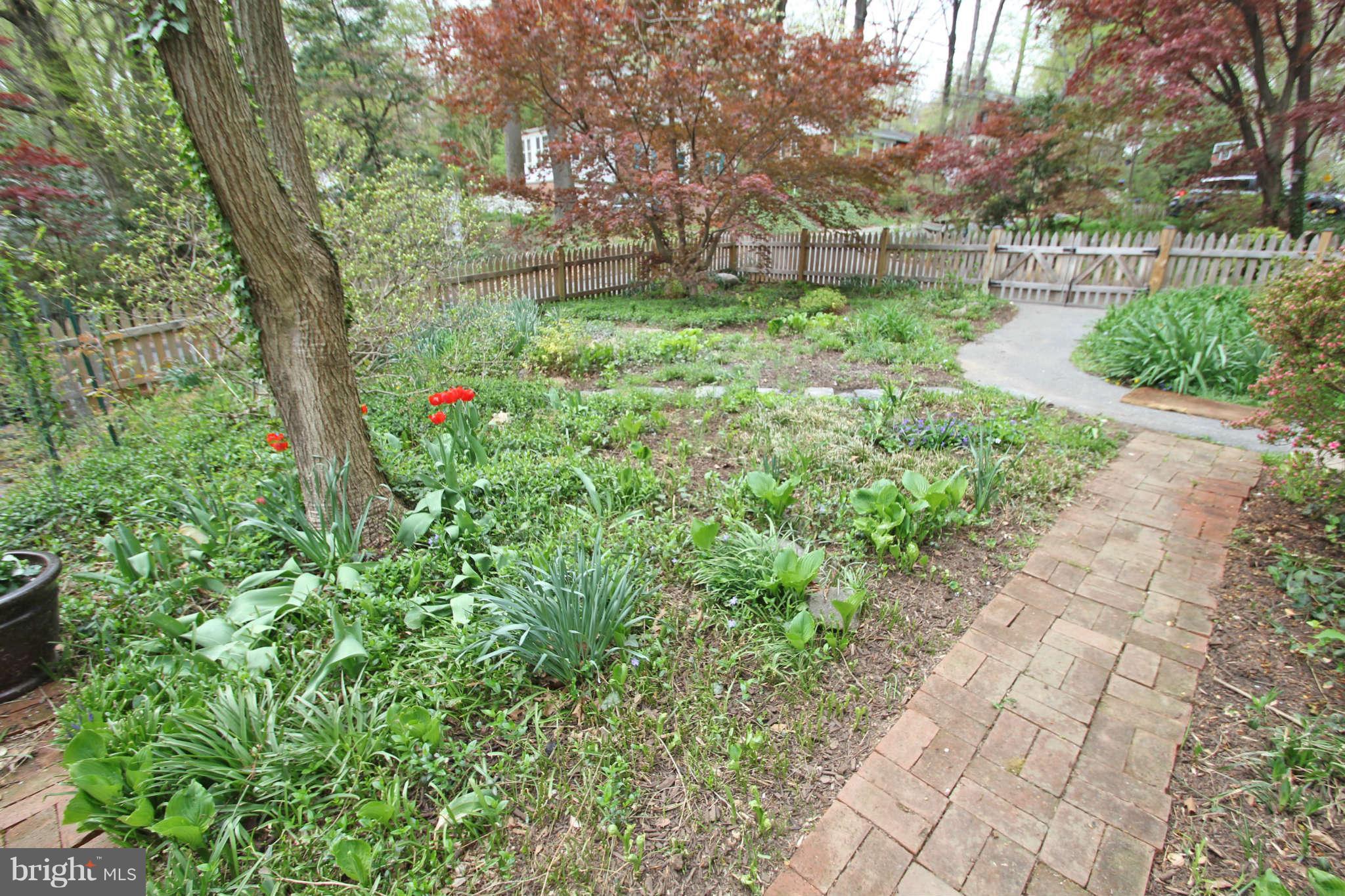 124 Hilltop Road Silver Spring, MD 20910 - Photo 27 of 29 brick pathways and plenty of ....