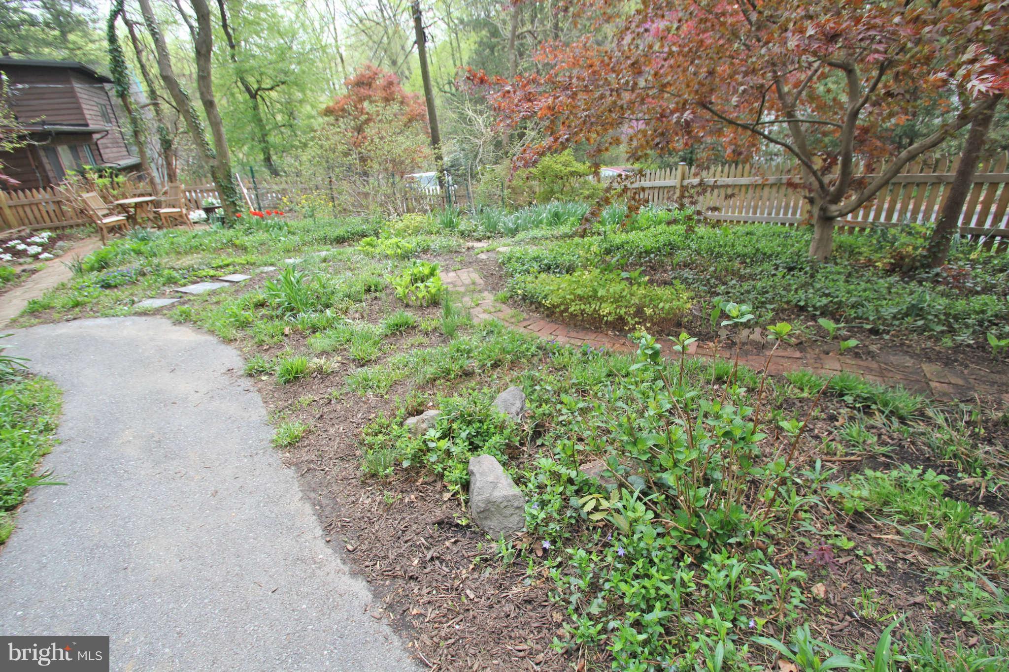 124 Hilltop Road Silver Spring, MD 20910 - Photo 28 of 29 ... lush plants and trees to behold. Paradise!