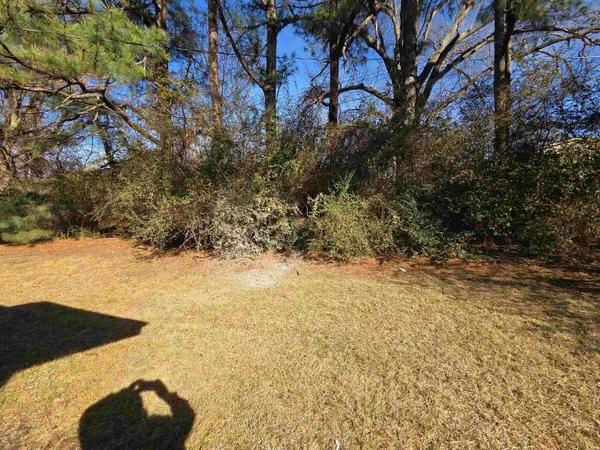 a view of beach and mountain