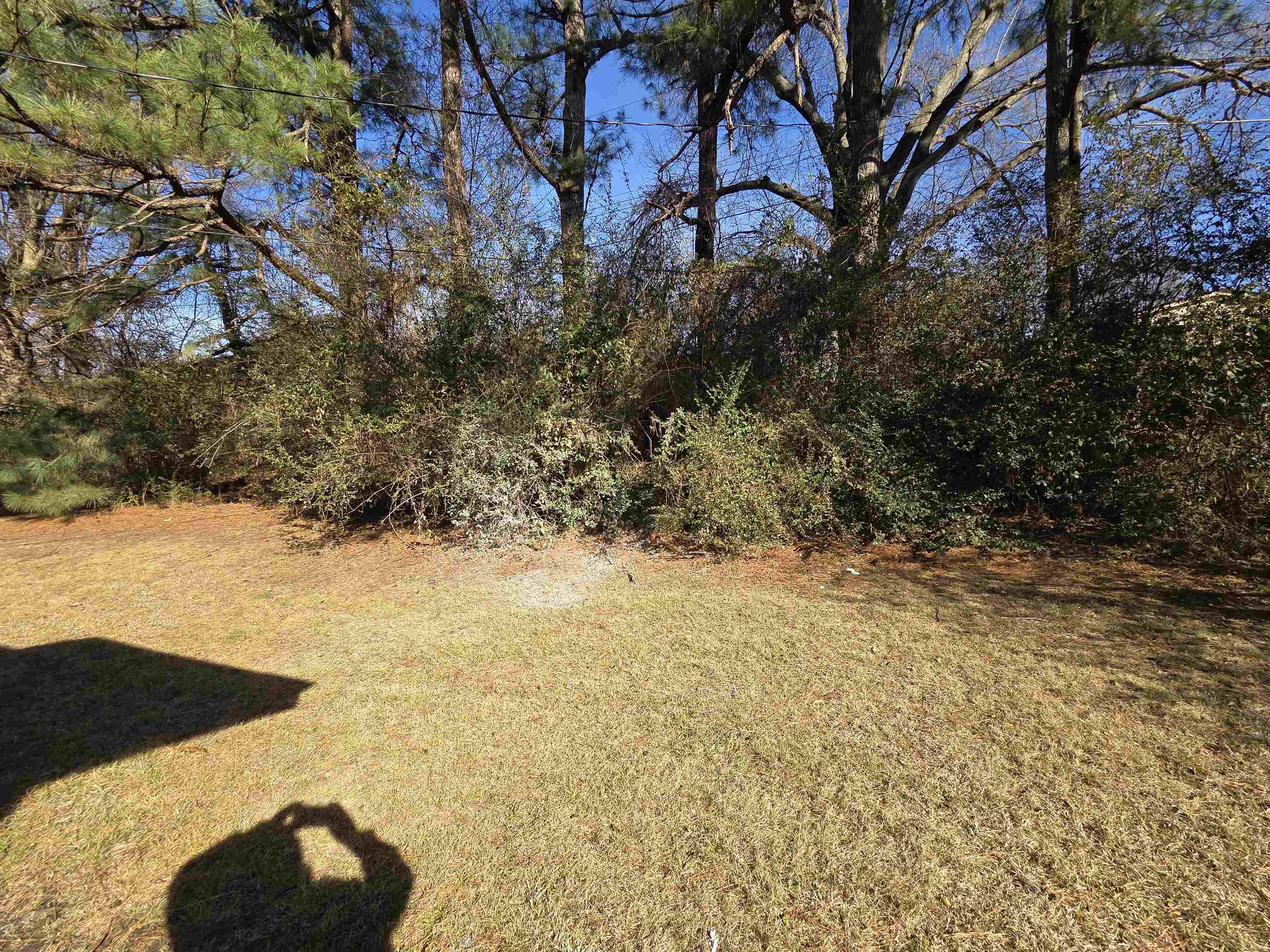 4638 Appleville Street Memphis, TN 38109 - Photo 22 of 23 a view of beach and mountain