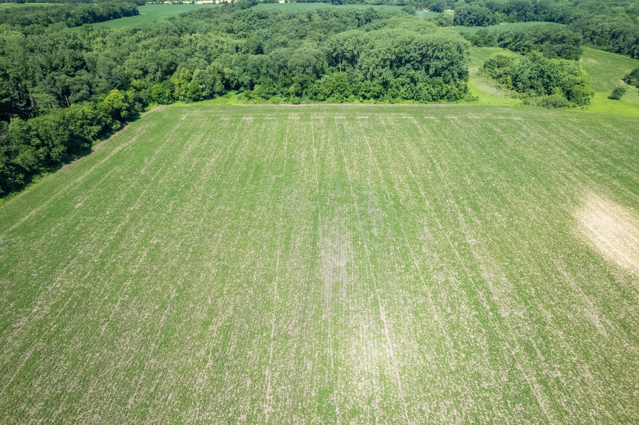 0 Inlet Road Amboy, IL 61310 - Photo 46 of 83