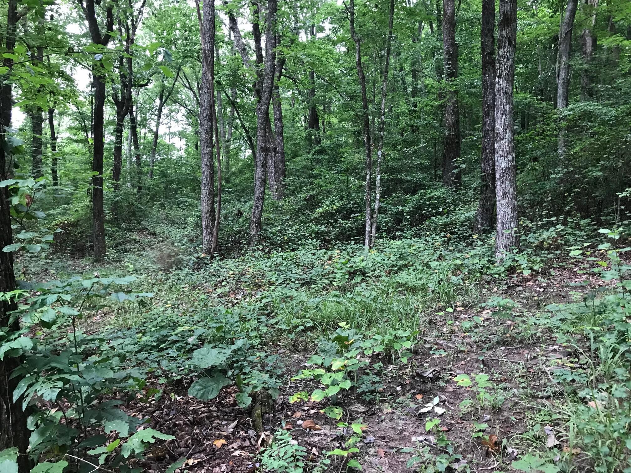 1 Smith Mountain Road Dunlap, TN 37327 - Photo 2 of 15 Gallery Image 2