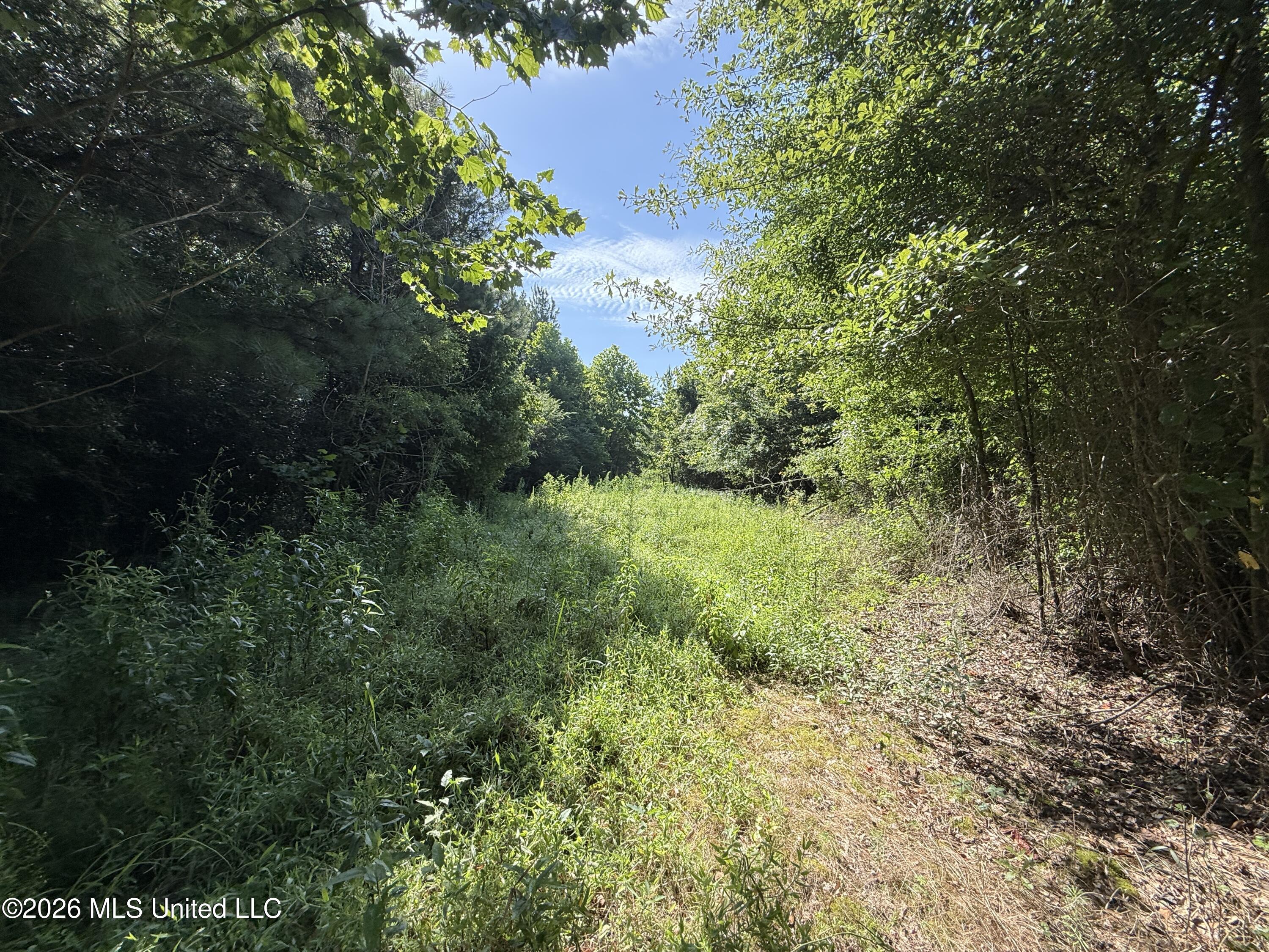 Winfry Road Kilmichael, MS 39747 - Photo 3 of 22 IMG_6280