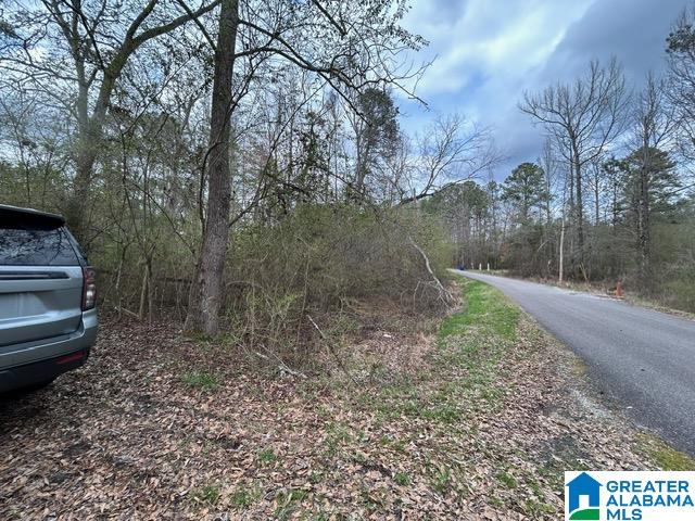 66 Shady Lane, Unit 7678 Ohatchee, AL 36271 - Photo 8 of 12