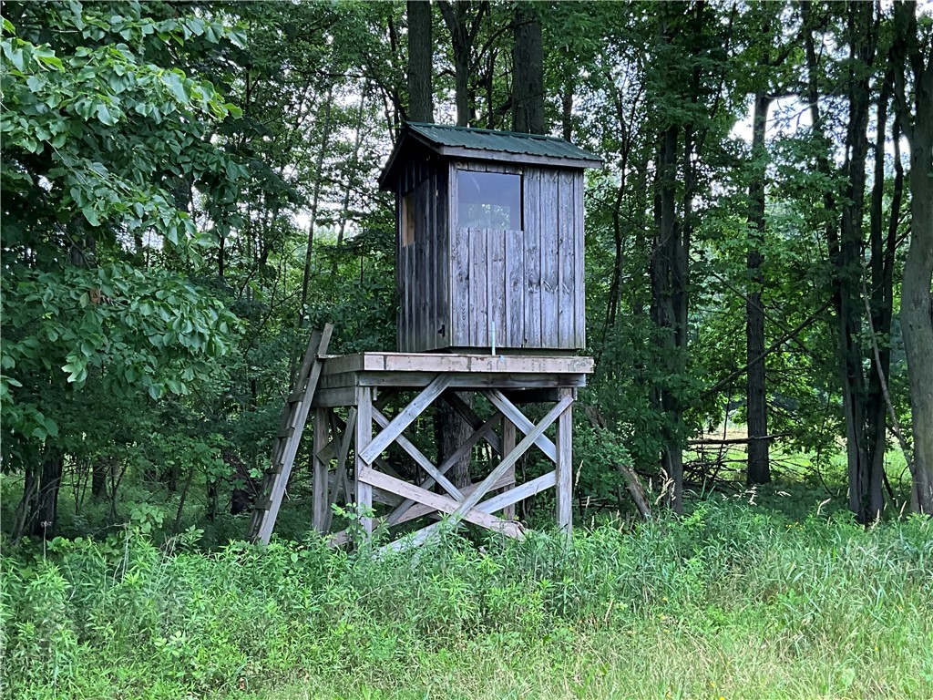 West Barre Road Albion, NY 14411 - Photo 7 of 16 One of the deer stands at the corner of the open field and woods.