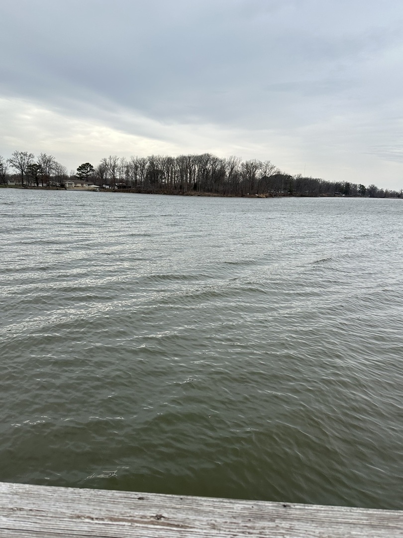 8277 Clark Trail Du Quoin, IL 62832 - Photo 42 of 45