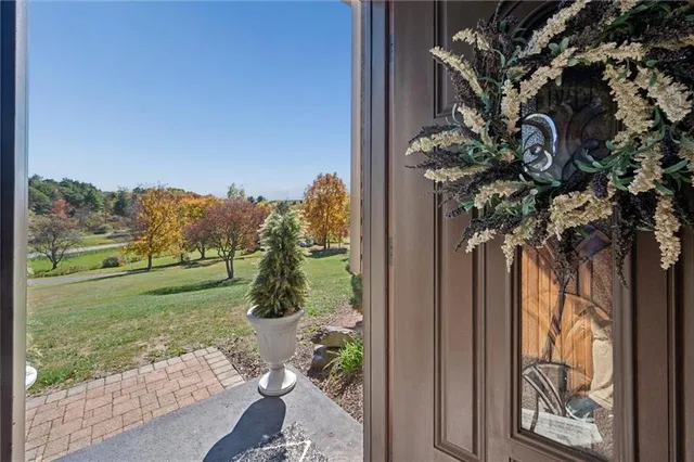 a picture of trees with a yard