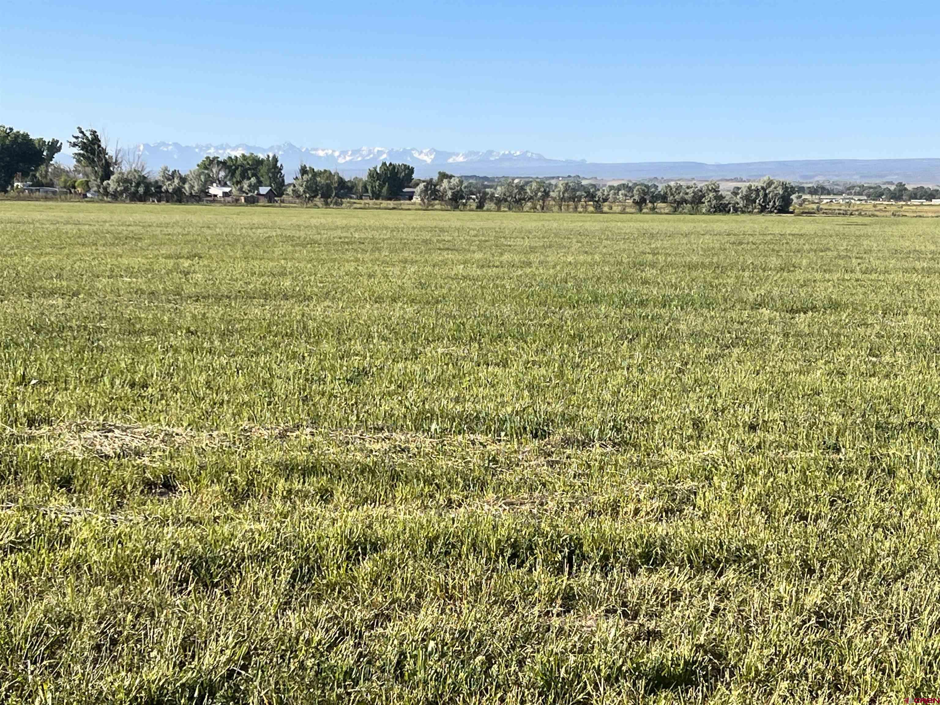 Tbd 5725th Road Olathe, CO 81425 - Photo 4 of 19