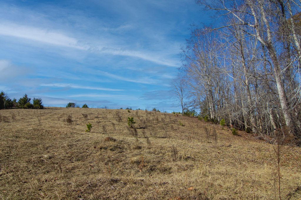 4-0 Chestnut Grove Road Shiloh, GA 31826 - Photo 12 of 35
