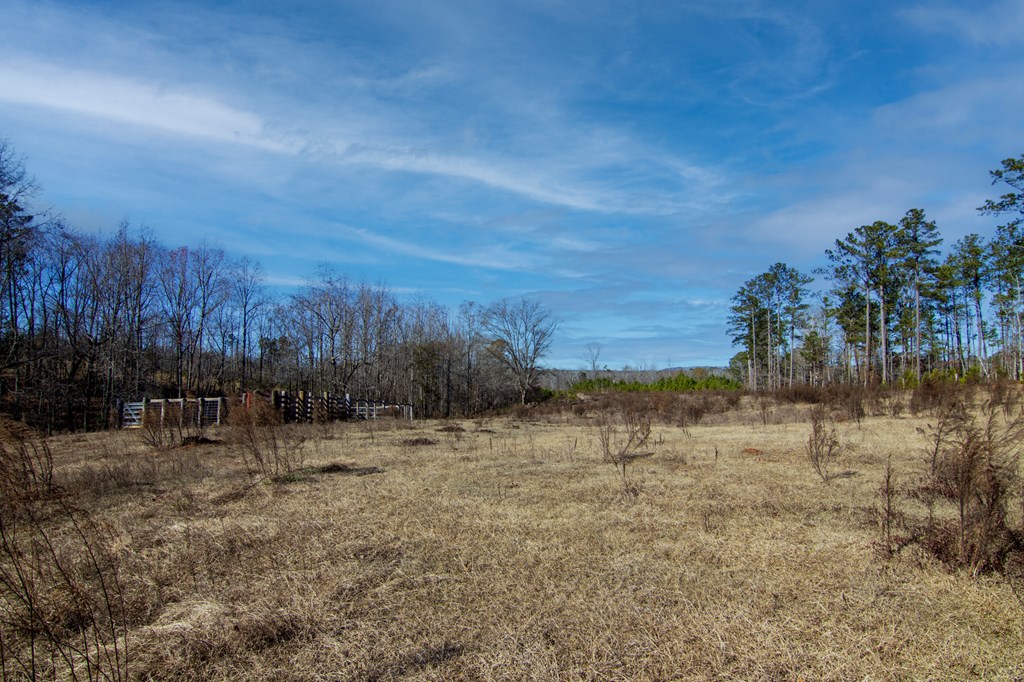 4-0 Chestnut Grove Road Shiloh, GA 31826 - Photo 15 of 35