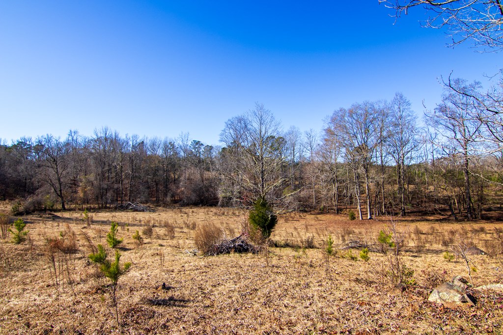 4-0 Chestnut Grove Road Shiloh, GA 31826 - Photo 16 of 35