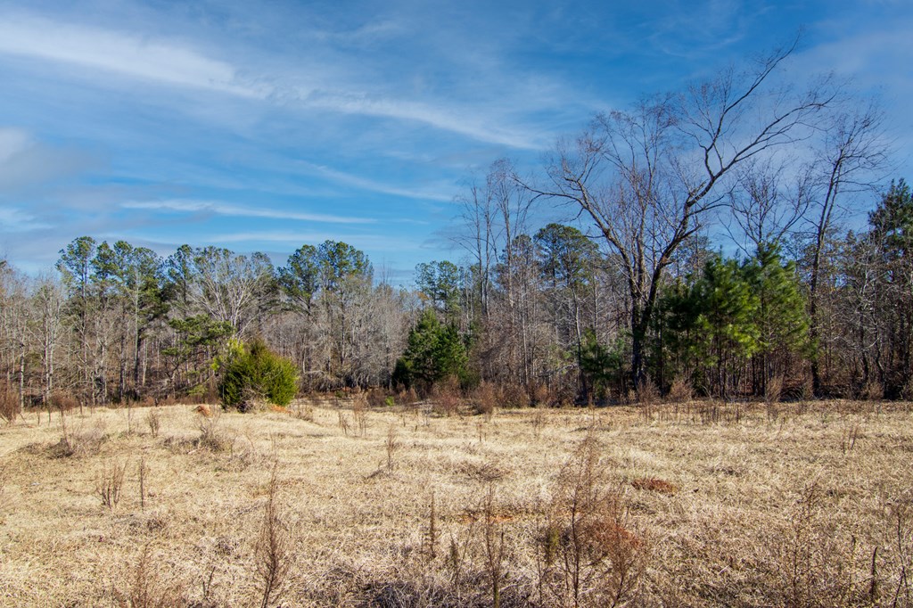 4-0 Chestnut Grove Road Shiloh, GA 31826 - Photo 17 of 35