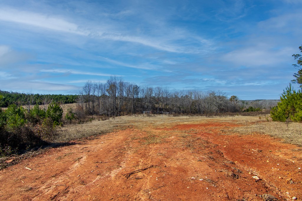 4-0 Chestnut Grove Road Shiloh, GA 31826 - Photo 18 of 35