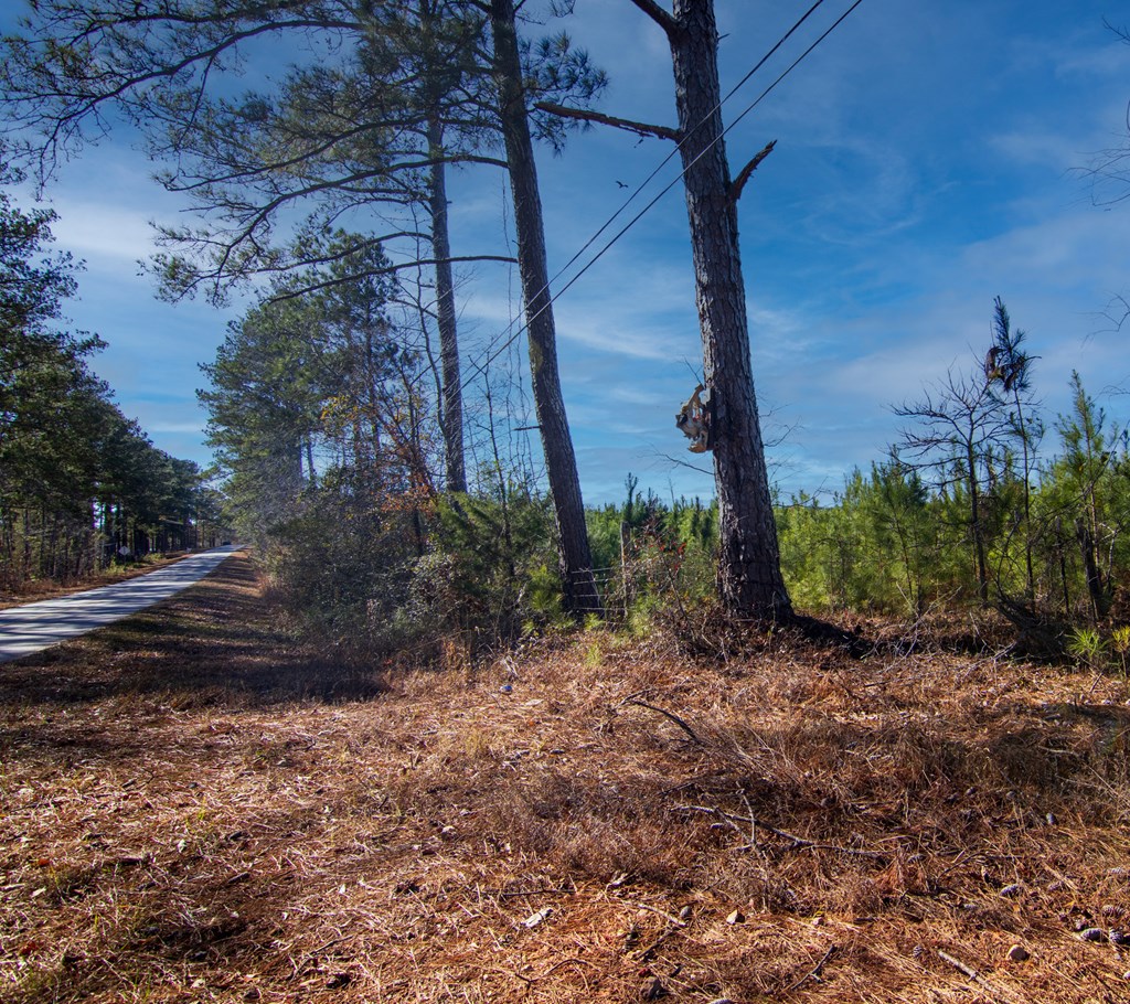4-0 Chestnut Grove Road Shiloh, GA 31826 - Photo 19 of 35
