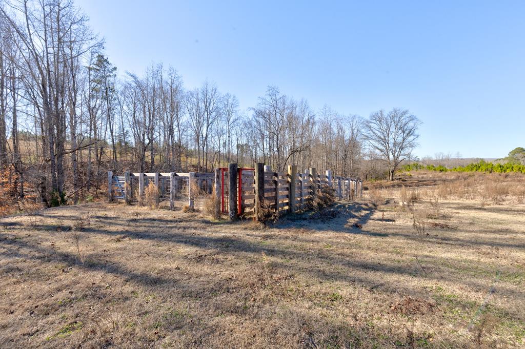 4-0 Chestnut Grove Road Shiloh, GA 31826 - Photo 25 of 35