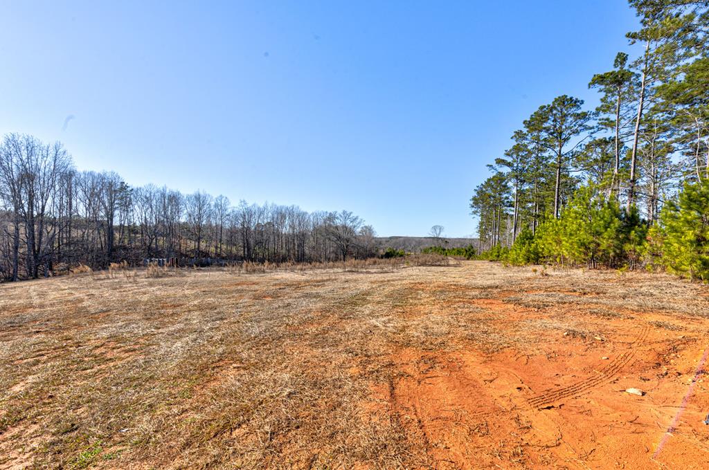 4-0 Chestnut Grove Road Shiloh, GA 31826 - Photo 27 of 35