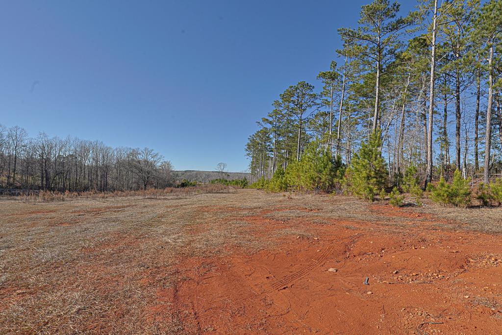 4-0 Chestnut Grove Road Shiloh, GA 31826 - Photo 28 of 35