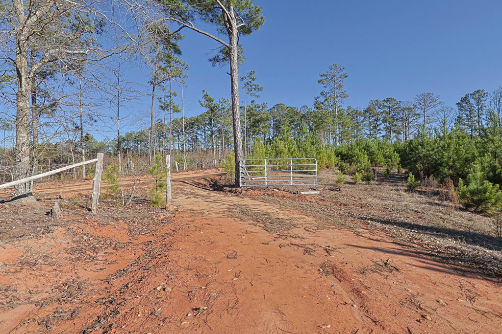 4-0 Chestnut Grove Road Shiloh, GA 31826 - Photo 29 of 35