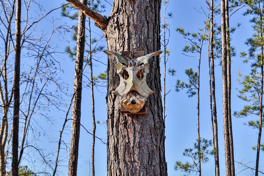 4-0 Chestnut Grove Road Shiloh, GA 31826 - Photo 30 of 35