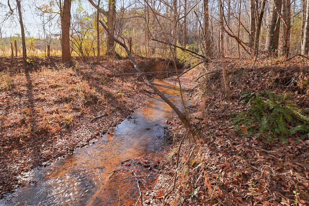 4-0 Chestnut Grove Road Shiloh, GA 31826 - Photo 35 of 35