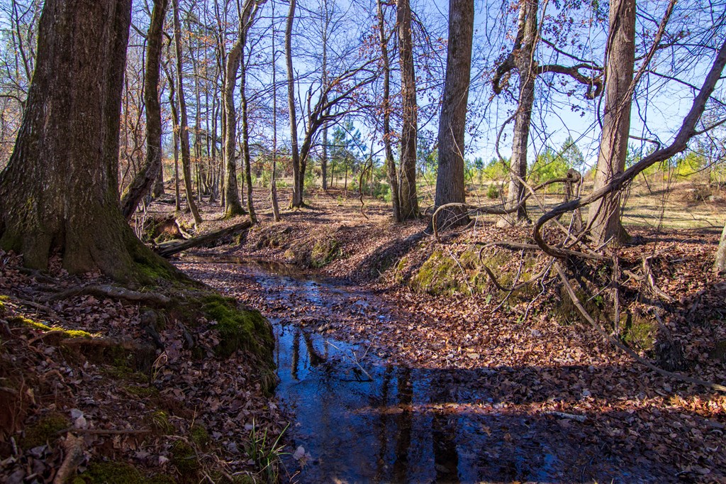 4-0 Chestnut Grove Road Shiloh, GA 31826 - Photo 7 of 35