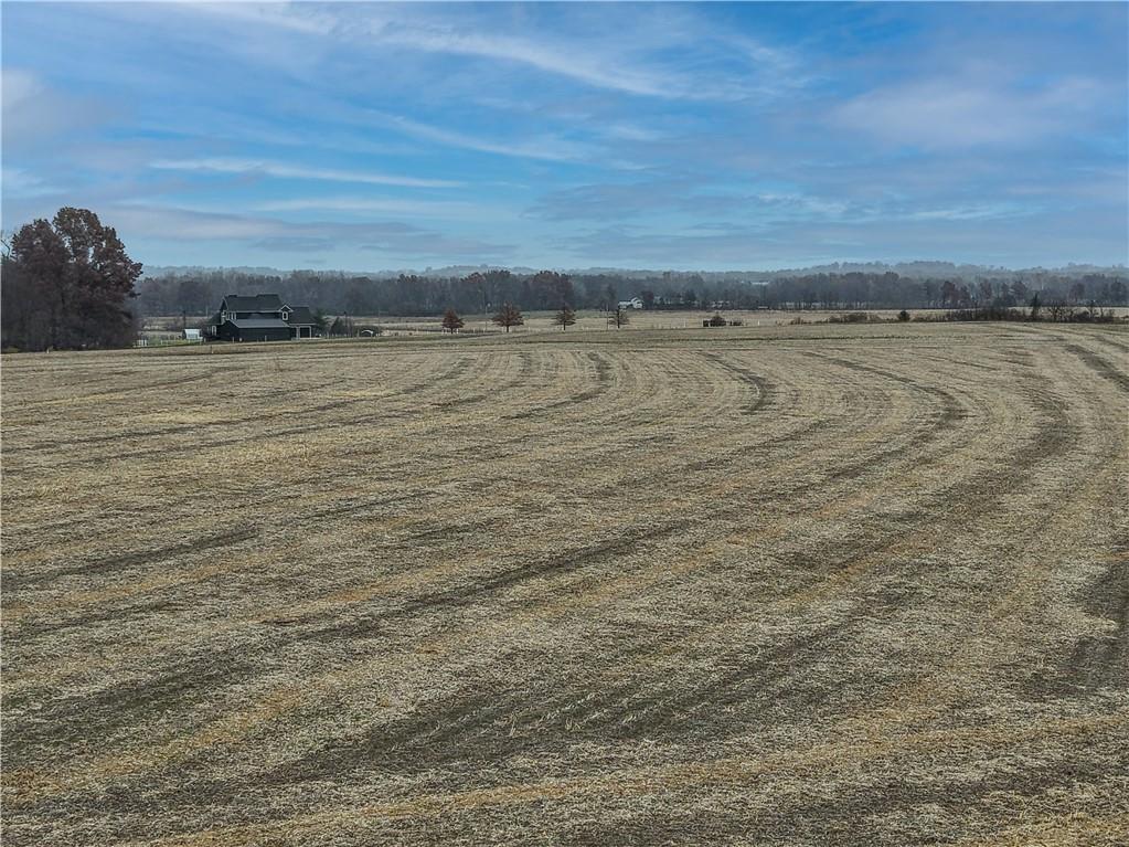 4 South Pryor Road Pleasant Hill, MO 64080 - Photo 6 of 18